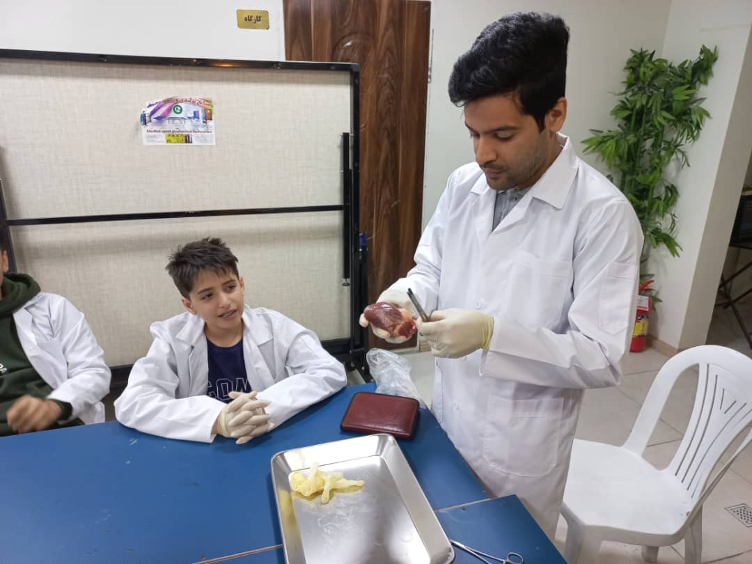 تشریح قلب در عطارد!