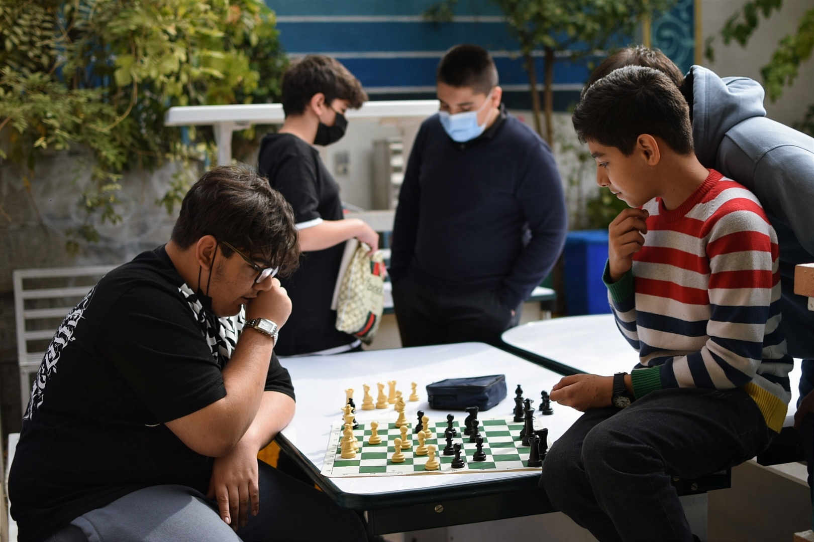 رویش جوانه‌ها از ابتدای مهر!